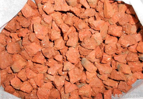 粗河沙可以当多肉的铺面石吗,多肉铺面石用小石子可以吗