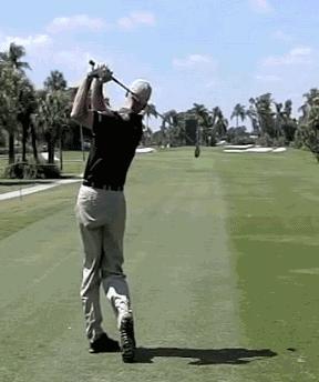 如何把球练运得又快又稳,学球基本动作