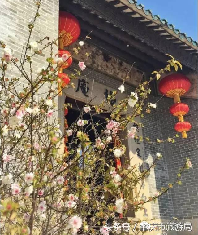 广肇城际轻轨最新官方消息,广肇城际在广州哪儿上车