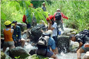 广肇城际轻轨最新官方消息,广肇城际在广州哪儿上车