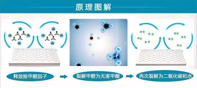 易可摩除甲醛,易可摩甲醛裂解酶价格