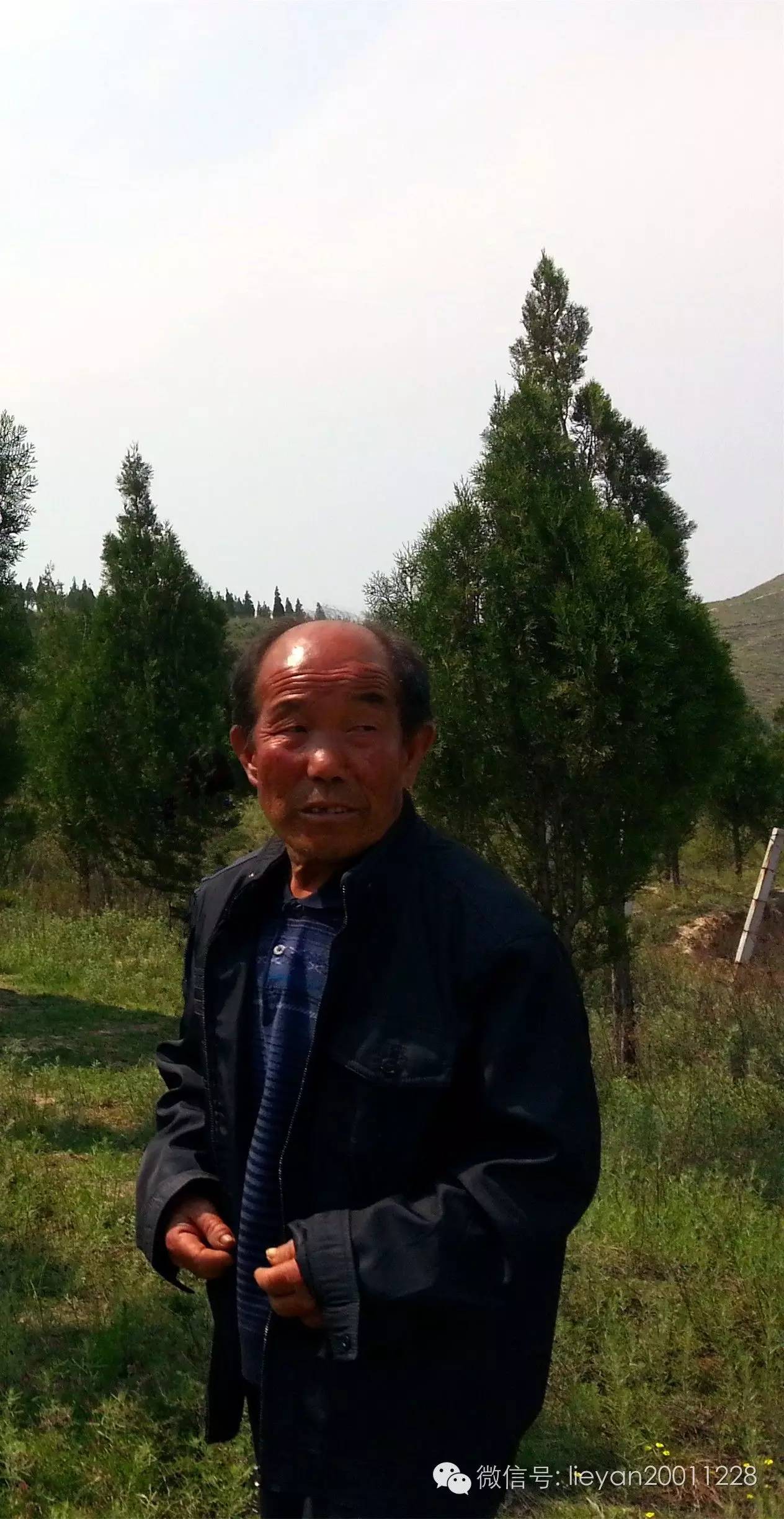 跨越千年时光看兵马俑,跨越千年唐十八陵