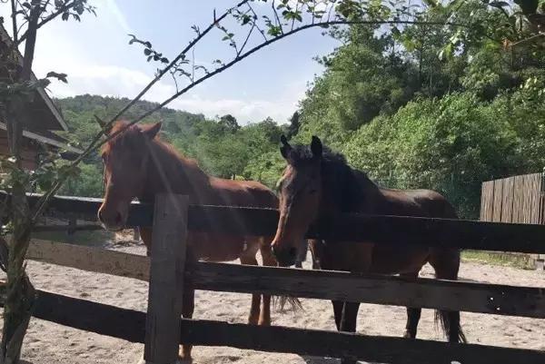 去哪儿泡温泉才是你的最爱,天冷来这里泡温泉最幸福