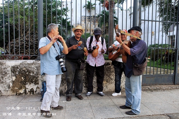 what鏃呰鏃呮父,what鏃呮父