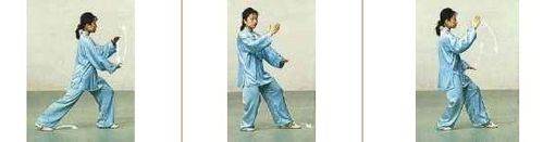 陈氏心意混元24式分解示范教学,陈氏太极24式混元背向口令视频