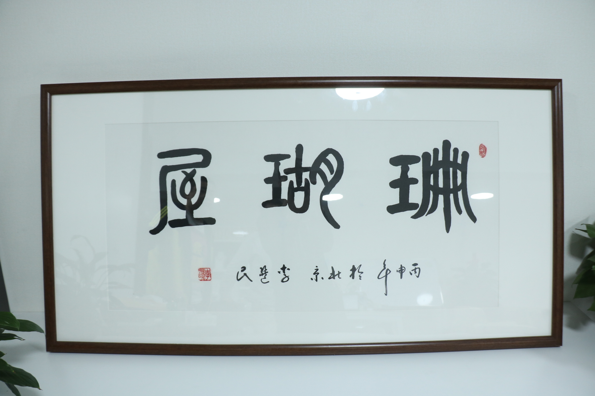 红珊瑚怎样交易,红珊瑚如何交易