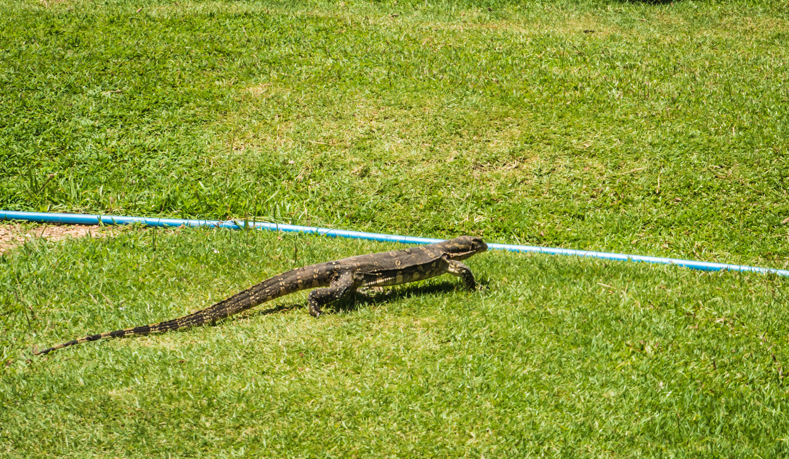 感受震撼的巴厘岛,巴厘岛是不是挺浪漫的