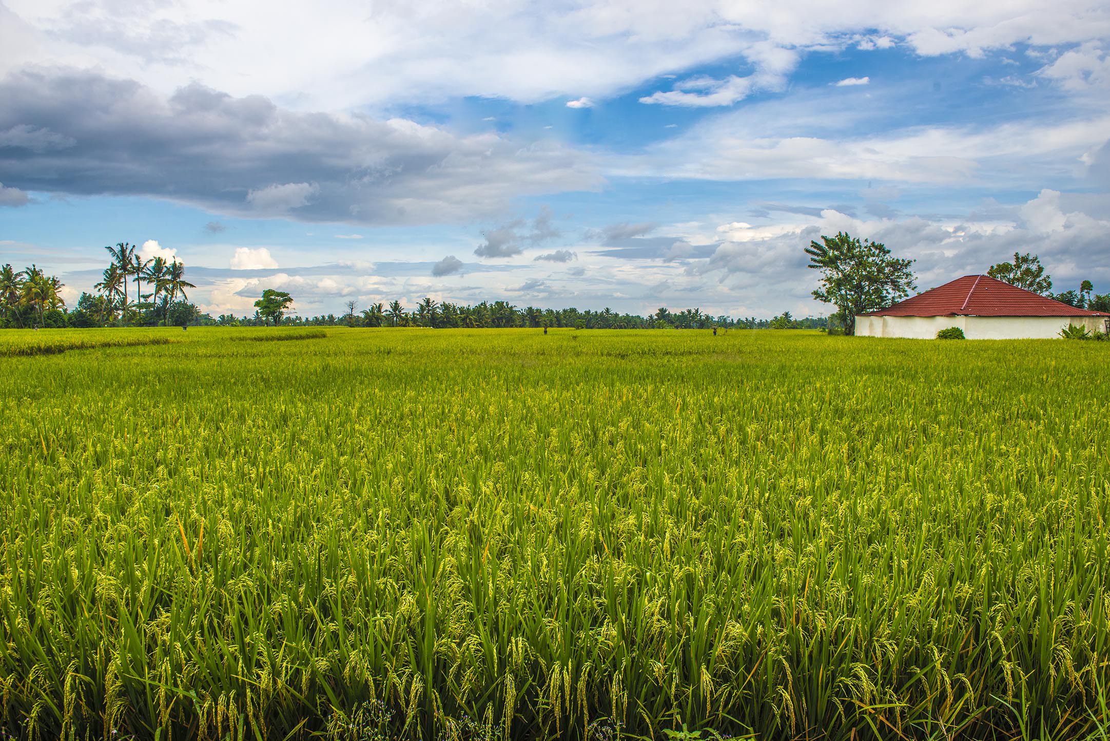感受震撼的巴厘岛,巴厘岛是不是挺浪漫的