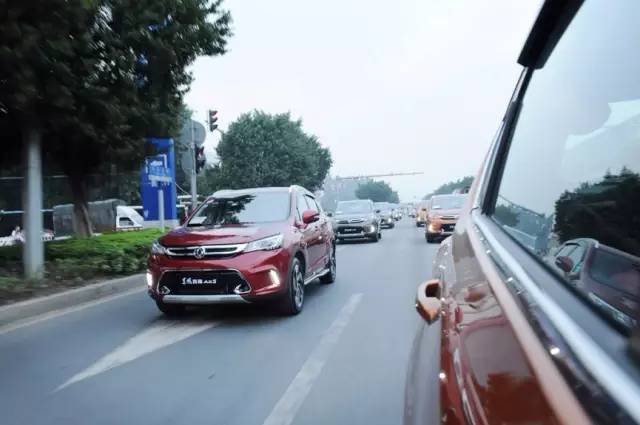 你先镇定一下，我们要在野生动物园里开车了