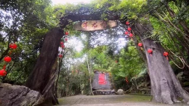 七星伴月在哪,七星伴月在哪里