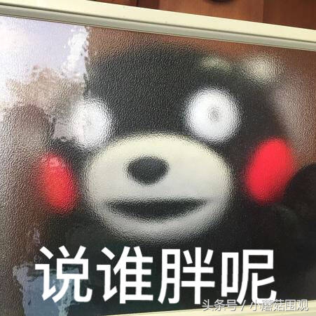 海淘奶粉为何更便宜,哪国奶粉最好