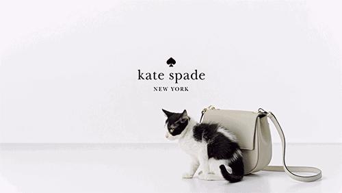 不可错过的8大品牌包包热门款,比较特别的包包牌子有哪些