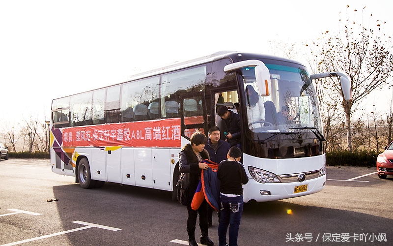 保定轩宇鑫悦奥迪竞秀区,高档红酒品鉴欣赏