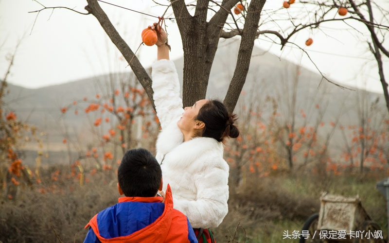 保定轩宇鑫悦奥迪竞秀区,高档红酒品鉴欣赏