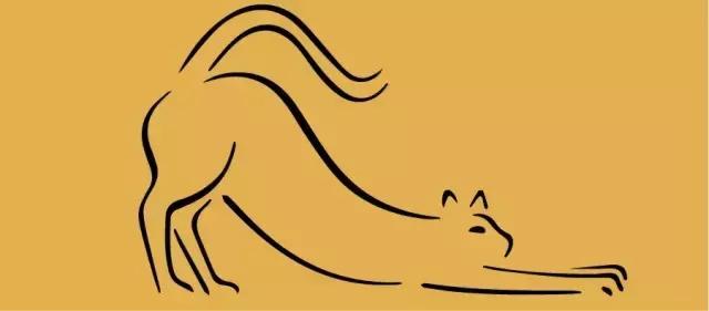 猫人，真正的猫与艺术，猫与我，还有诗