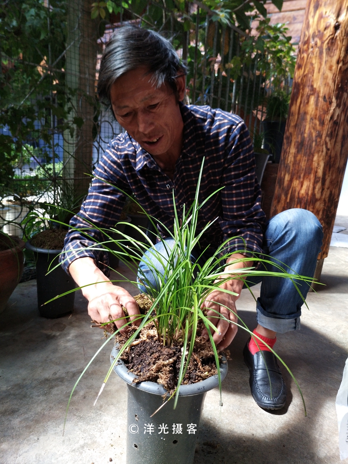 这个民族的祖先因战败被迫流离失所,却创造出世界上独一无二奇迹