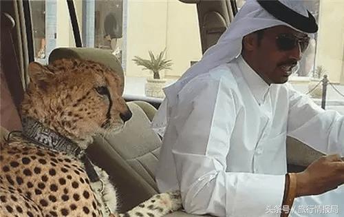 讲述迪拜的那些事与经历,了解迪拜不为人知的一面