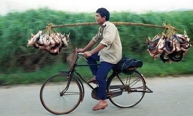 钓鱼走水绝密技巧,钓鱼保持鱼鲜活小技巧