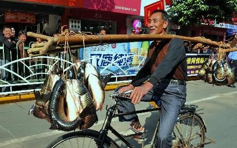 钓鱼走水绝密技巧,钓鱼保持鱼鲜活小技巧