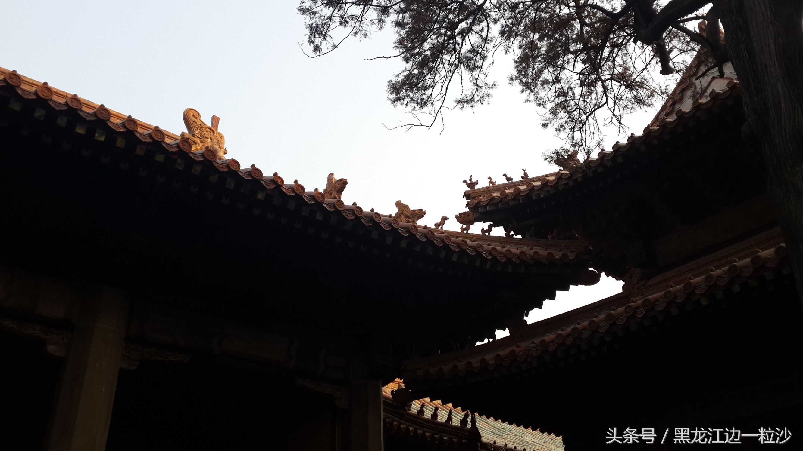 曲阜孔庙旅游免费攻略,走进孔子的故乡山东曲阜孔庙