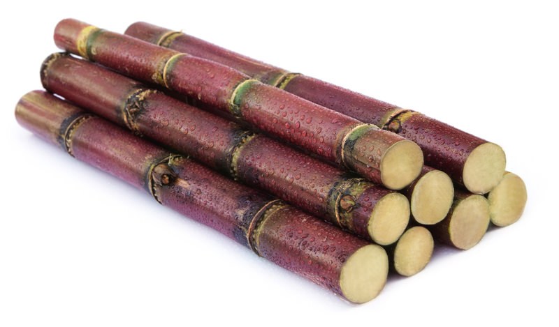 想要一生不得癌症有什么建议,想要不得病要控制情绪