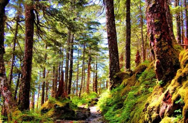 成都川西小环线4天自驾免费景点,成都自驾川西景点推荐