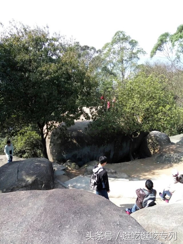 广州火炉山森林公园游玩攻略,广州火炉山徒步完整版