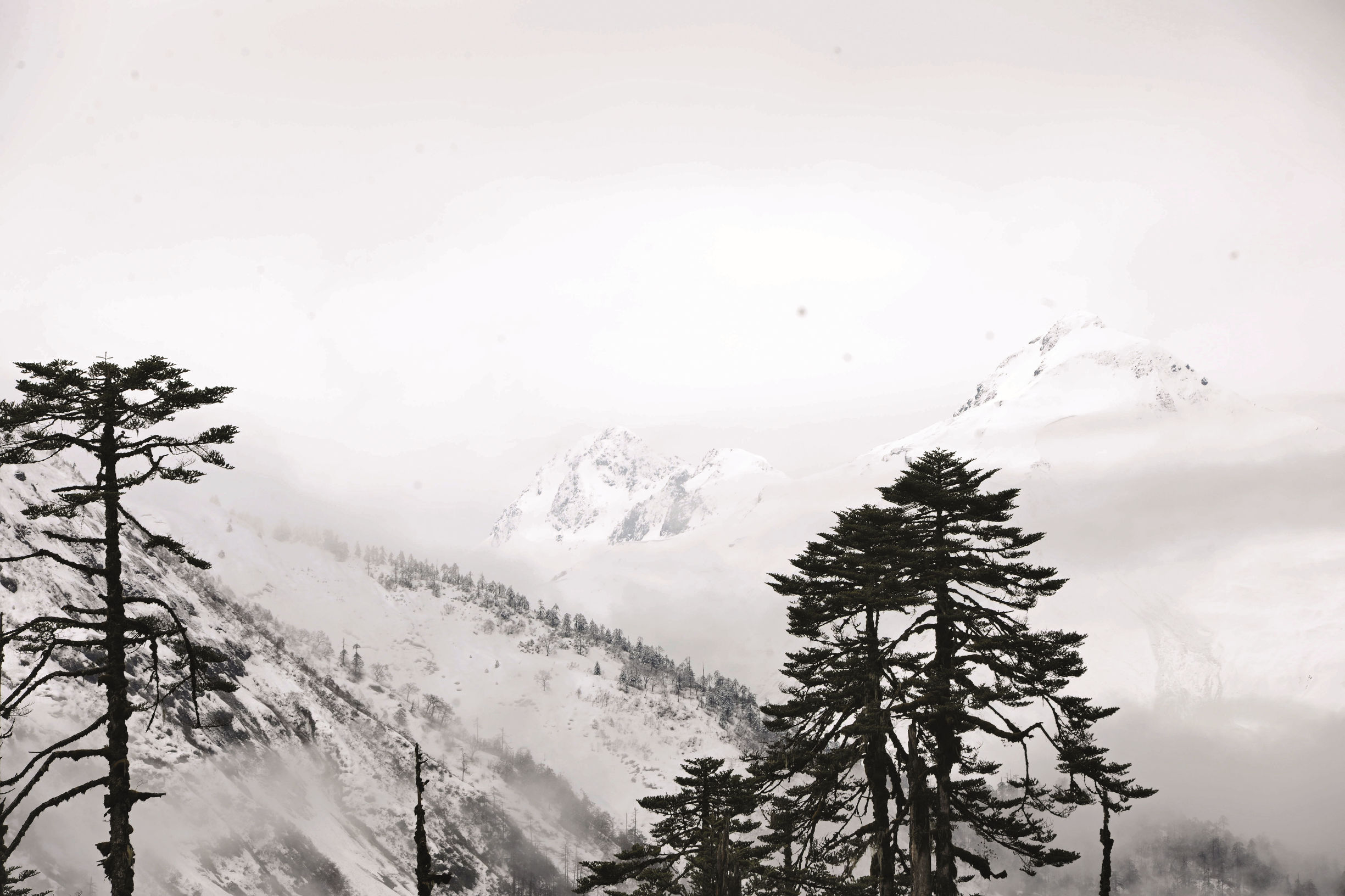 麦克马洪线附近的莲花神穴