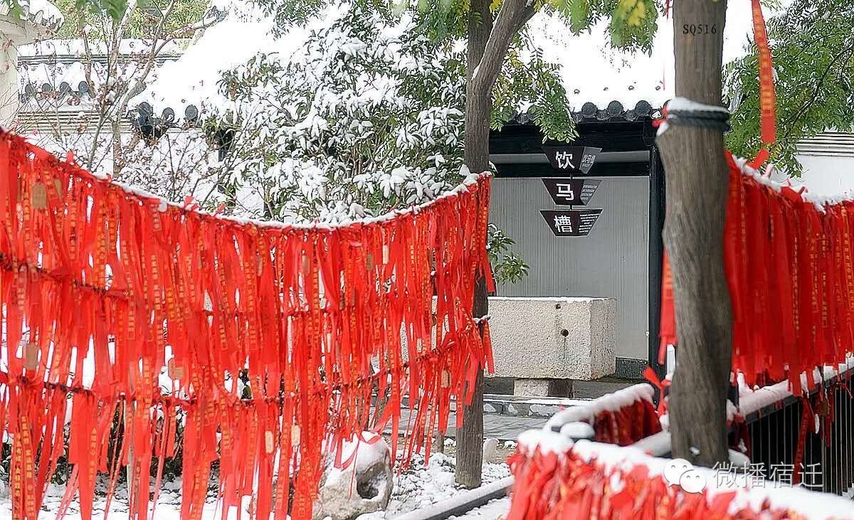 雪中宿迁,素颜都美到窒息!