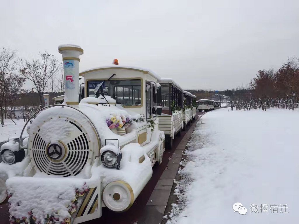 雪中宿迁,素颜都美到窒息!