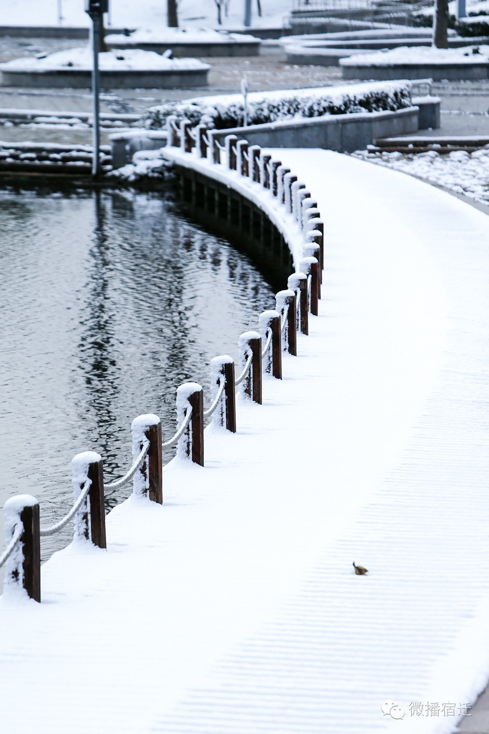 雪中宿迁,素颜都美到窒息!