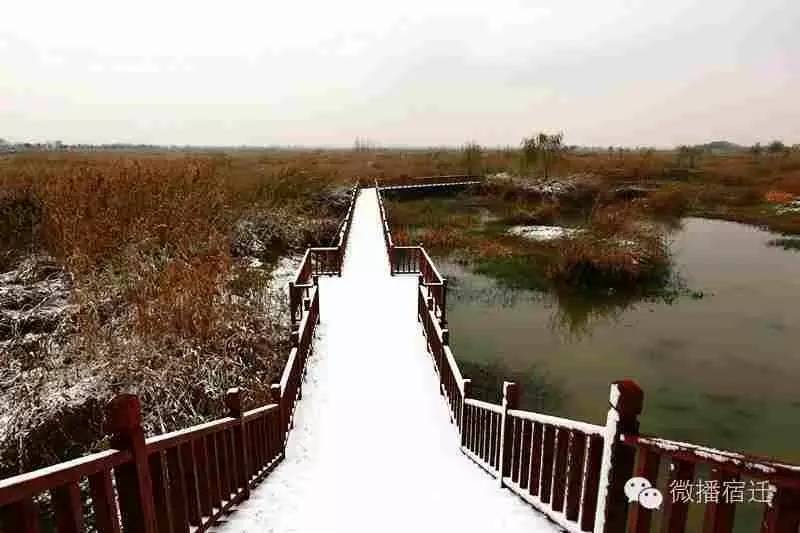 雪中宿迁,素颜都美到窒息!