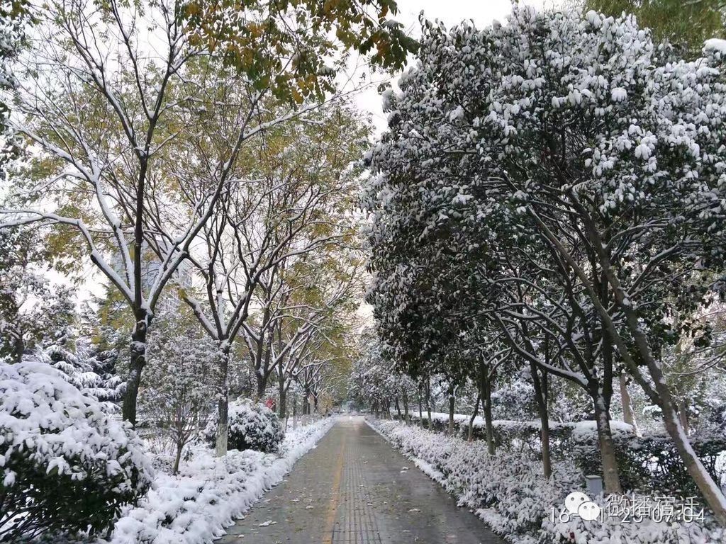 雪中宿迁,素颜都美到窒息!