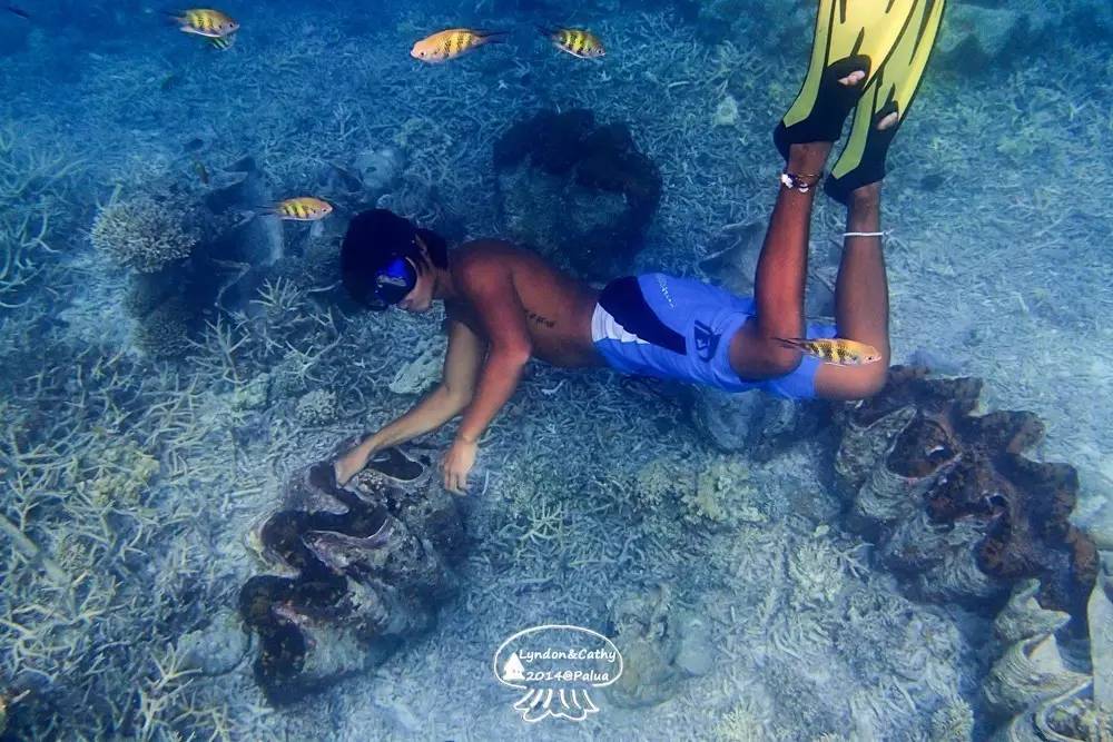 帕劳上帝水族馆介绍,帕劳上帝水族馆攻略