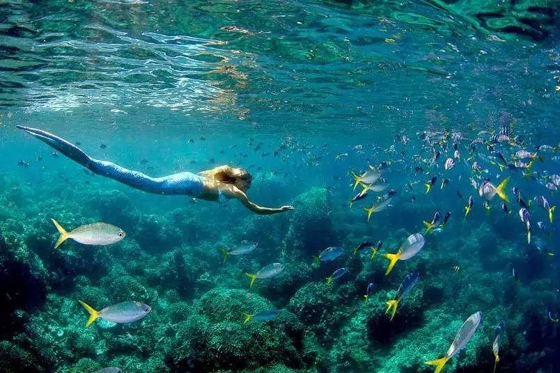 帕劳上帝水族馆介绍,帕劳上帝水族馆攻略