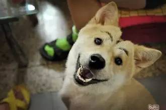 你在大雪纷飞我在南方的艳阳里,你在北方的艳阳里大雪纷飞