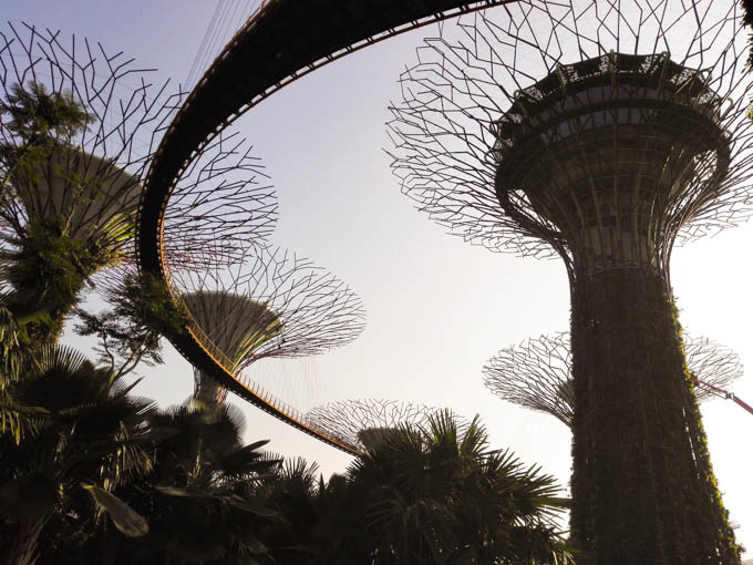 去新加坡,如果你有预算,建议至少去金沙酒店住一晚