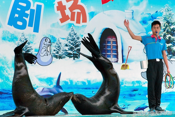 深圳小梅沙海洋世界游乐,深圳小梅沙海洋世界一日游