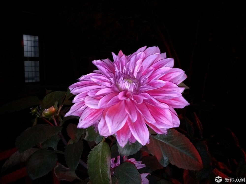 oppor9s值得入手吗,oppor9splus