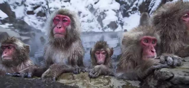 逼格最高的私汤温泉,北京日式私汤温泉推荐