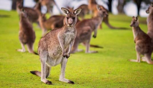 2021年济南薪资水平报告,济南工资一般是多少