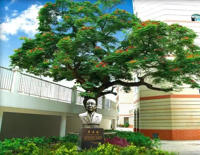 厦门历史悠久的百年中学老校,厦门最厉害的中学