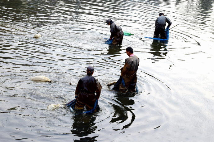 污水池里的“宝”，1晚捞100斤，2个农村“能人”因红虫产生矛盾