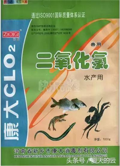 那些你不知道的副业,那些你不知道的观赏鱼