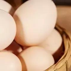 最简单的奶油泡芙制作法,做奶油泡芙做法要无水无油吗