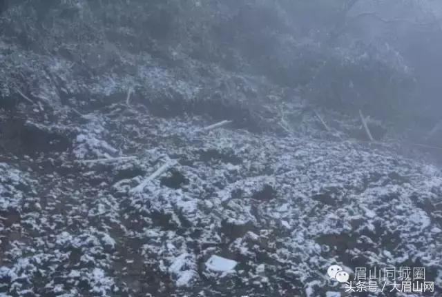 瓦屋山下雪,最近瓦屋山下雪了吗