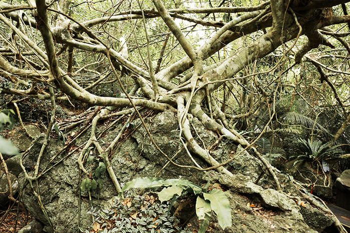 三亚第一市场怎么选海鲜,三亚第一市场海鲜在三亚哪个位置