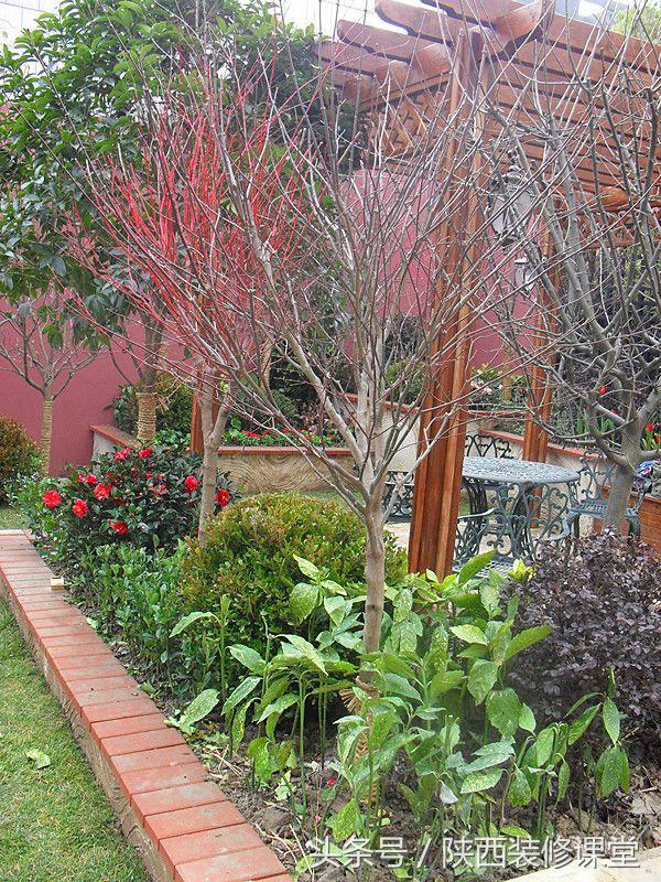 200平庭院花园轻奢,280平花园法式