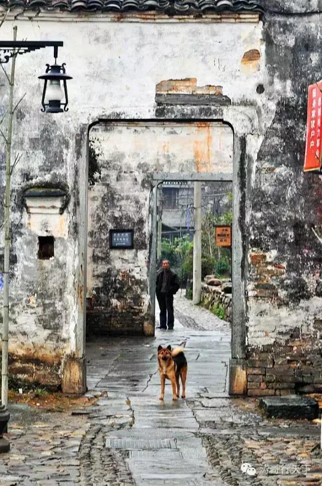 一家四口亚欧自驾游,一家四口全球旅游