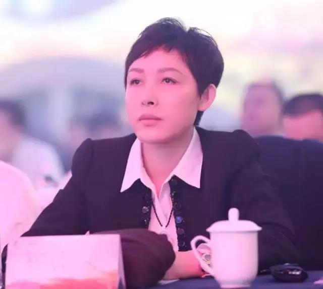 河北卫视现在在播什么,河北卫视有哪些